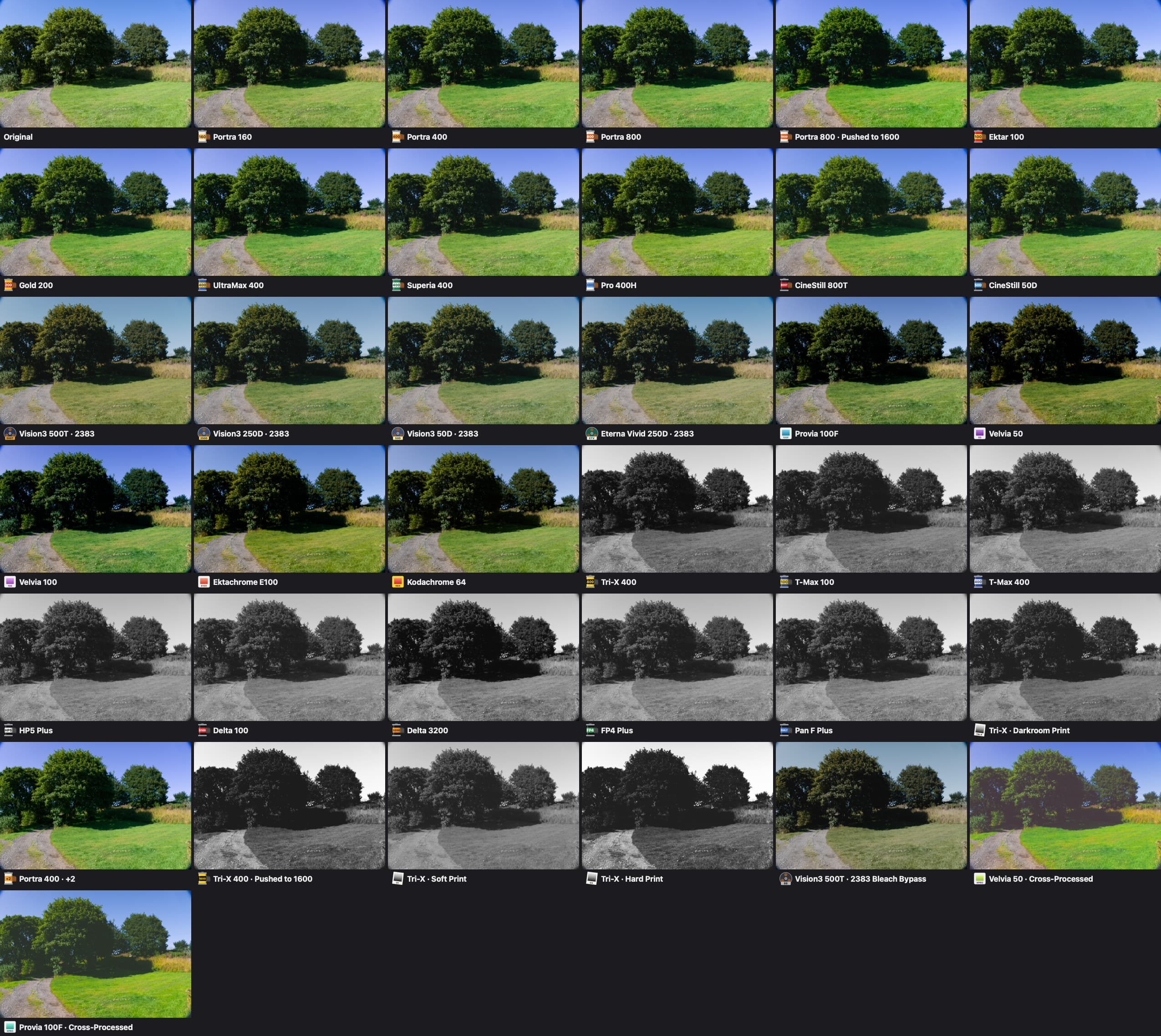 Every film look on the same photo, with the original first