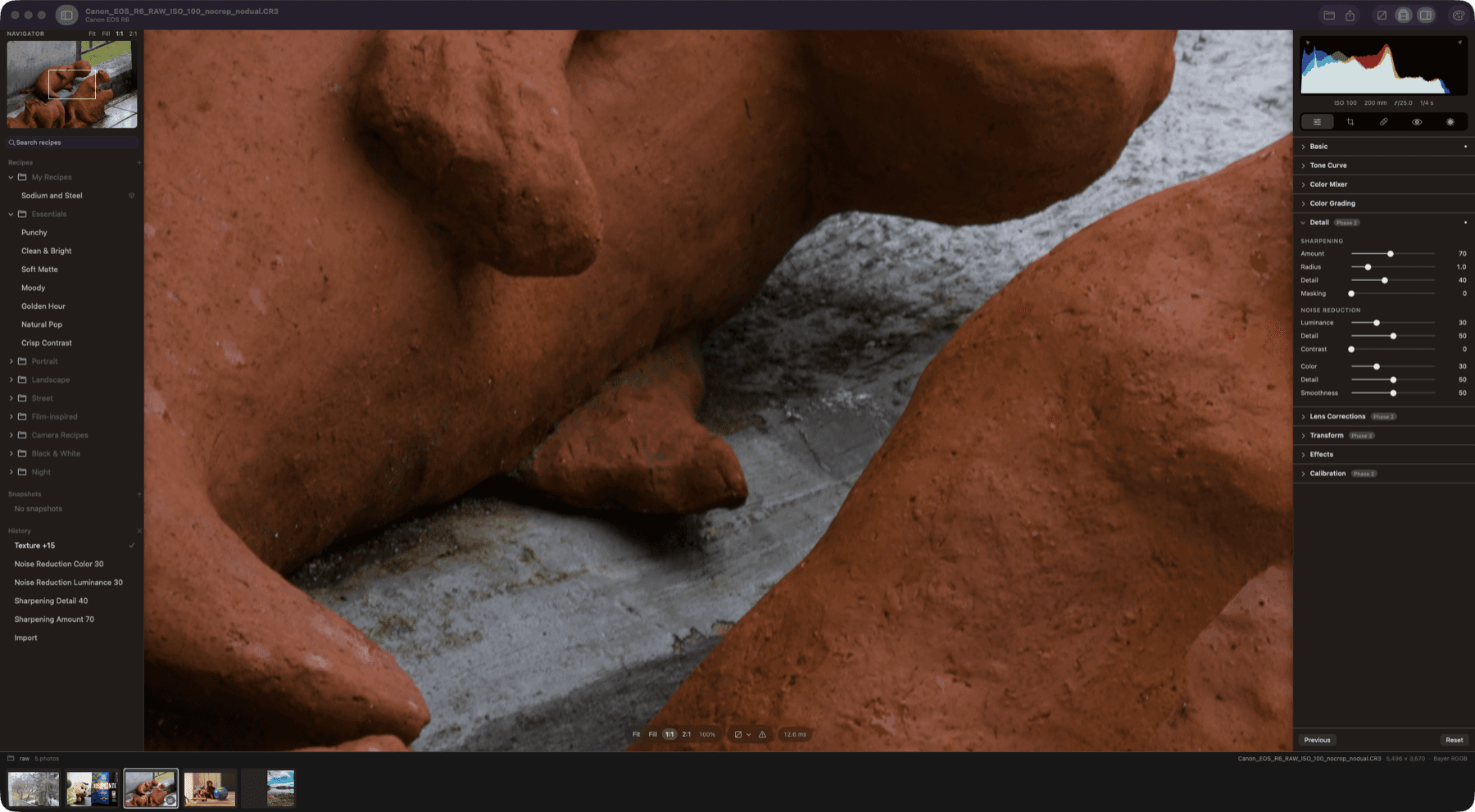 A Canon EOS R6 raw file at 100% with the Detail panel open